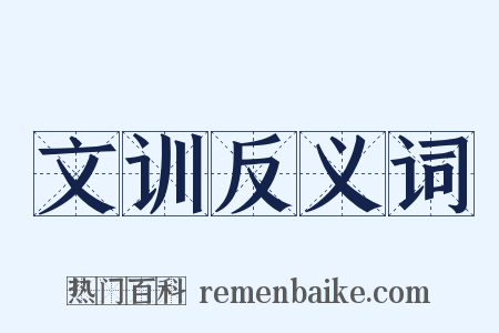 文训反义词是什么意思的图片